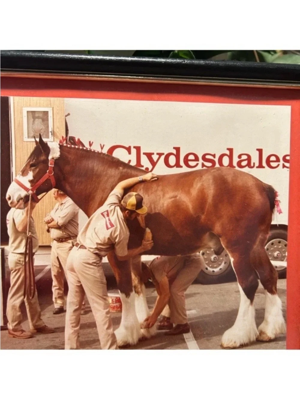 N/A classic framed